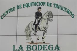 SPANISH LESSONS AND HORSE RIDING COURSE 