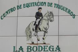 Spanish courses in Spain