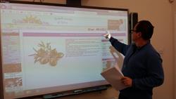 Spanish courses in Spain